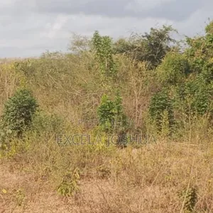 Shamba Linauzwa Mbwewe Wilaya Ya Chalinze