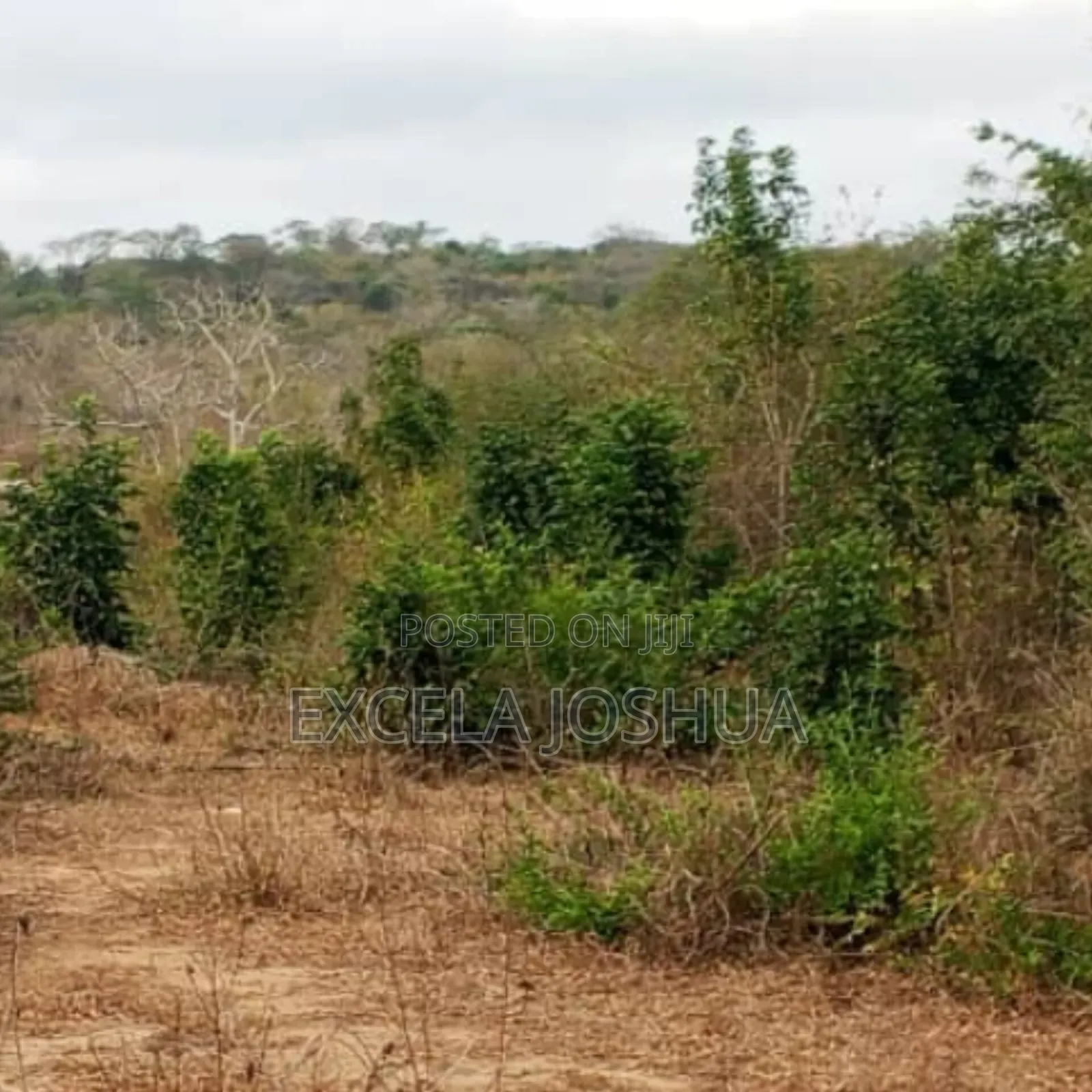 Shamba Linauzwa Mbwewe Wilaya Ya Chalinze