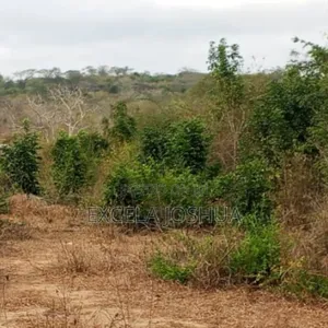 Shamba Linauzwa Mbwewe Wilaya Ya Chalinze