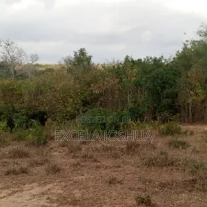 Shamba Linauzwa Mbwewe Wilaya Ya Chalinze