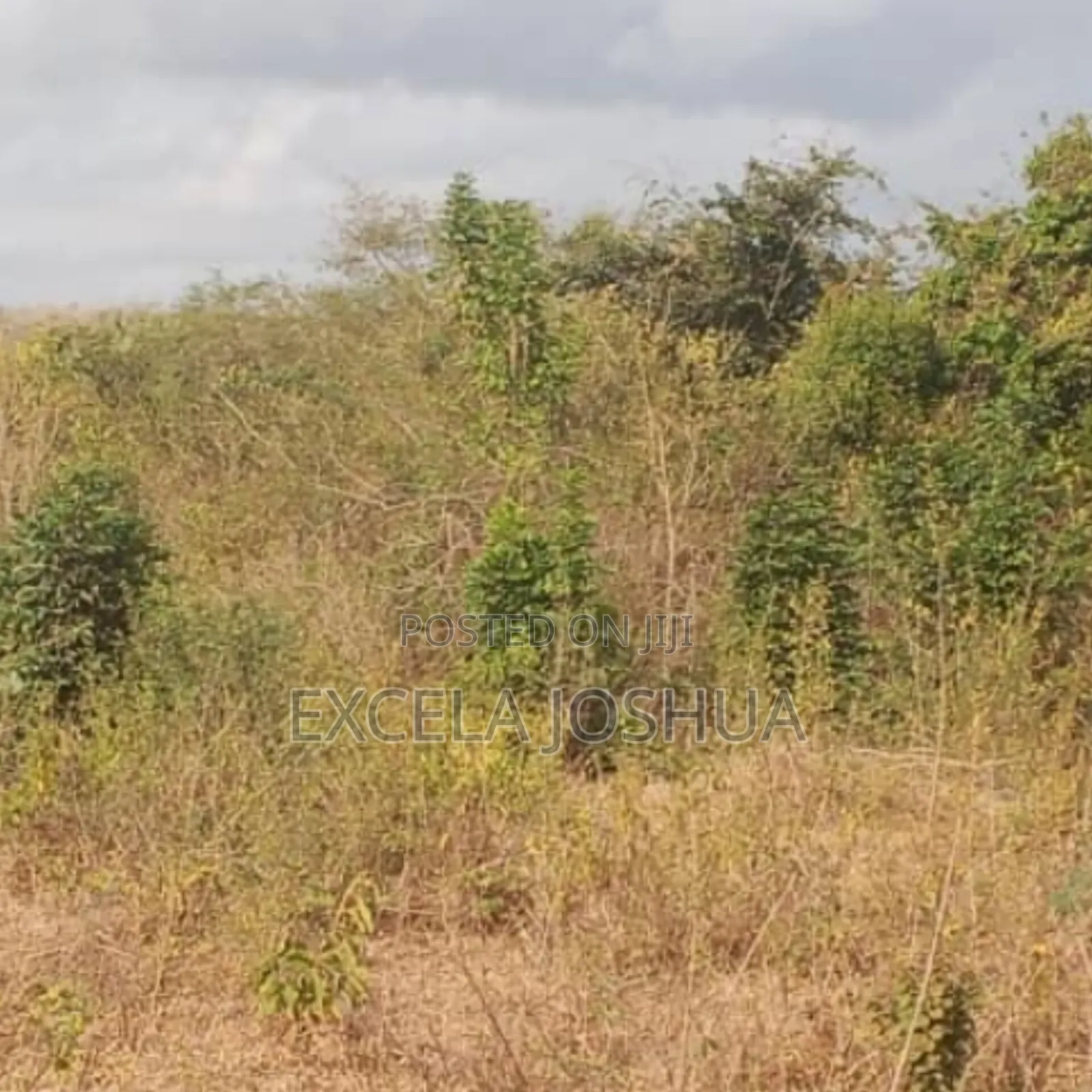 Shamba Linauzwa Mbwewe Wilaya Ya Chalinze