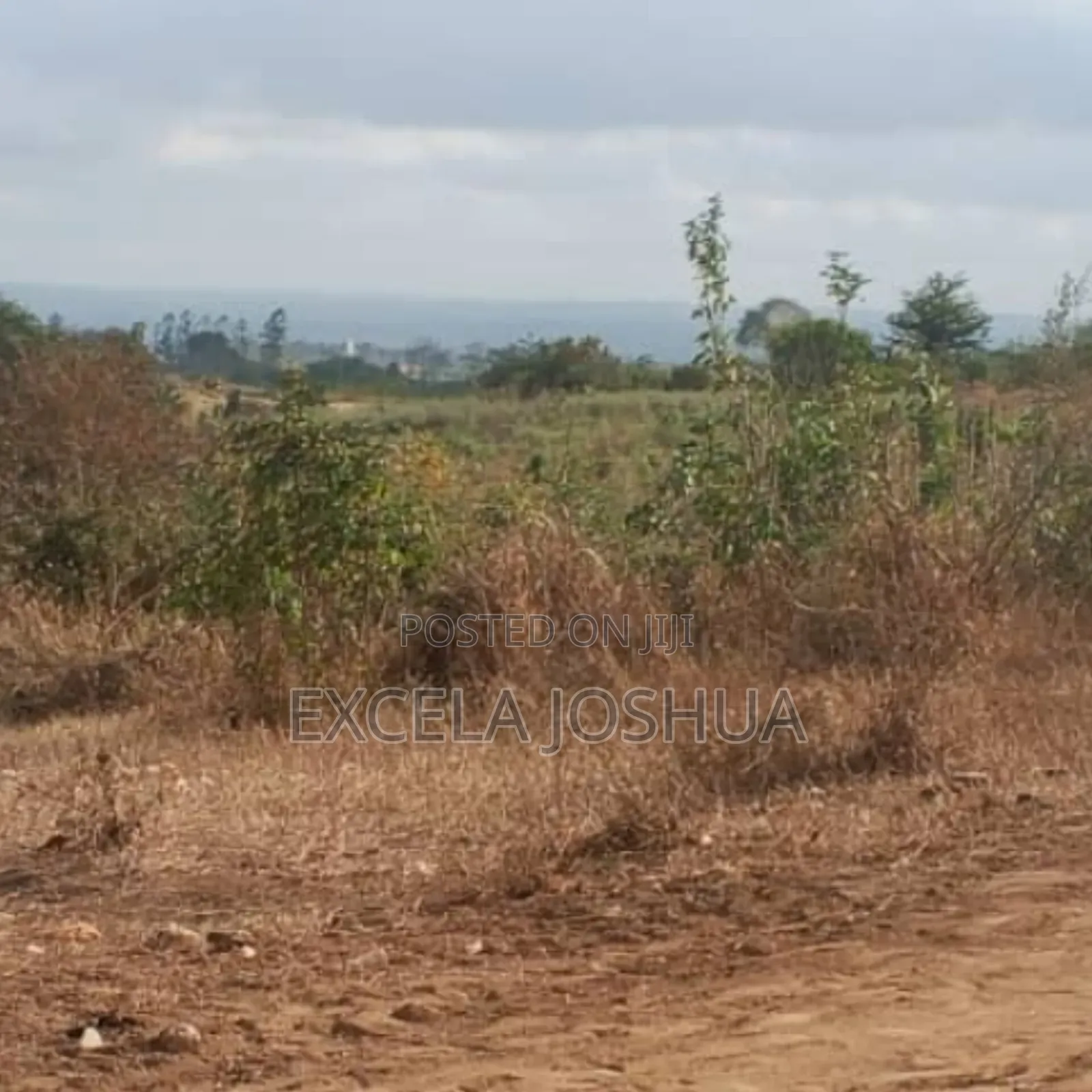 Shamba Linauzwa Mbwewe Wilaya Ya Chalinze