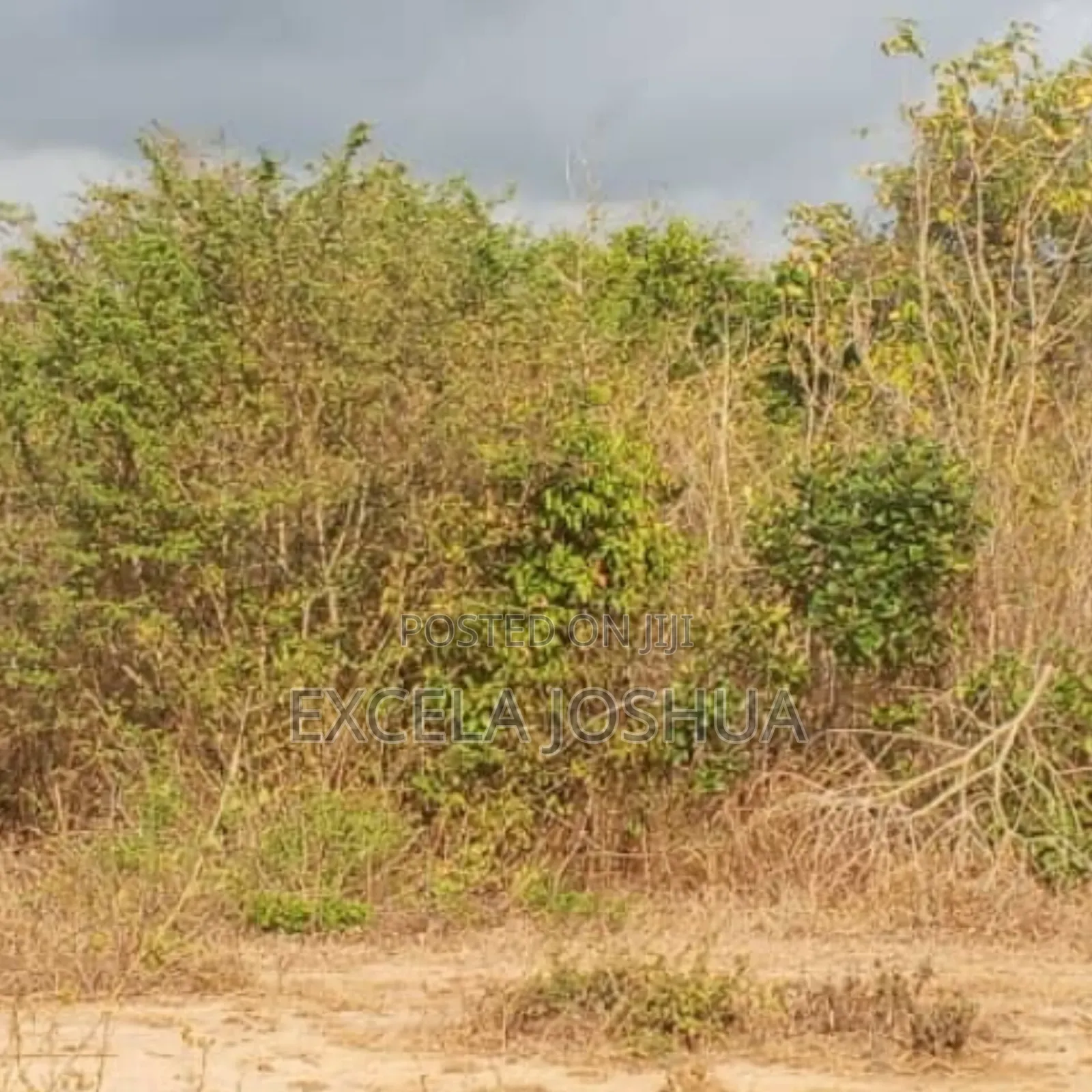 Shamba Linauzwa Mbwewe Wilaya Ya Chalinze