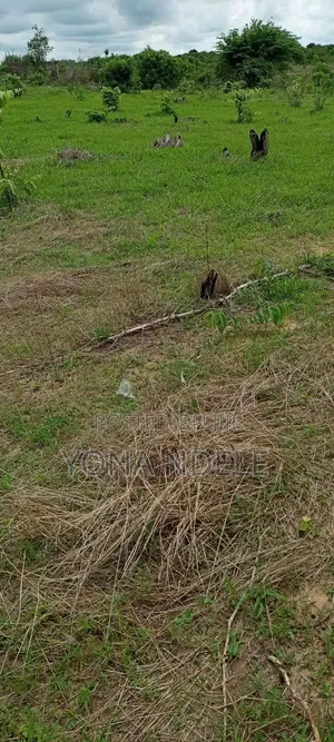 Shamba Linauzwa