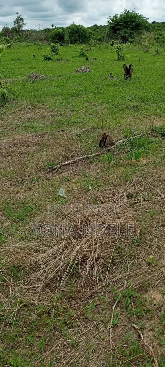 Shamba Linauzwa