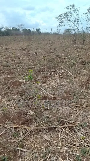 Shamba Linauzwa