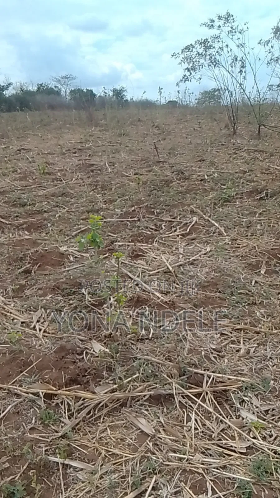 Shamba Linauzwa