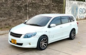 Toyota Corolla Fielder 2010 White