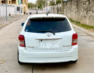 Toyota Corolla Fielder 2010 White