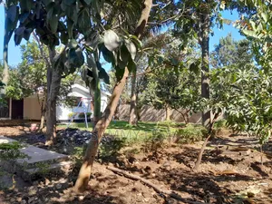 6bdrm Bungalow in Sammysaidy, Njiro for rent