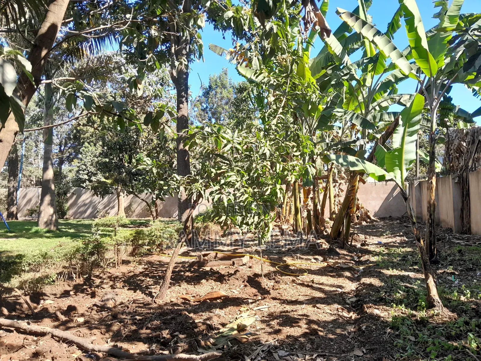 6bdrm Bungalow in Sammysaidy, Njiro for rent
