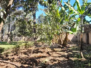 6bdrm Bungalow in Sammysaidy, Njiro for rent