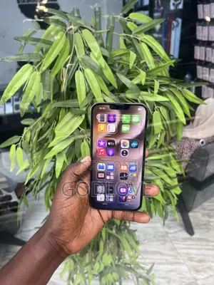Apple iPhone 13 Pro Max 256 GB Blue