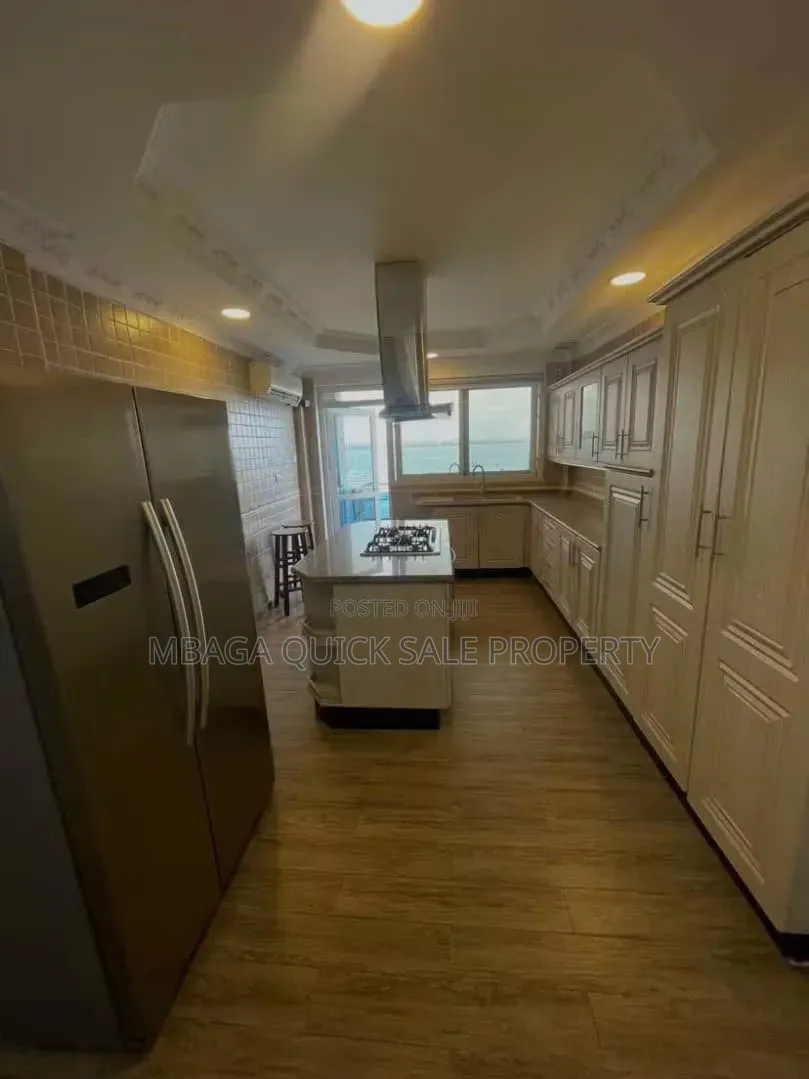 Furnished 3bdrm Apartment in Masaki for rent