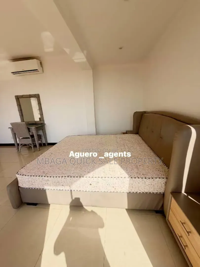 Furnished 3bdrm Apartment in Masaki for rent