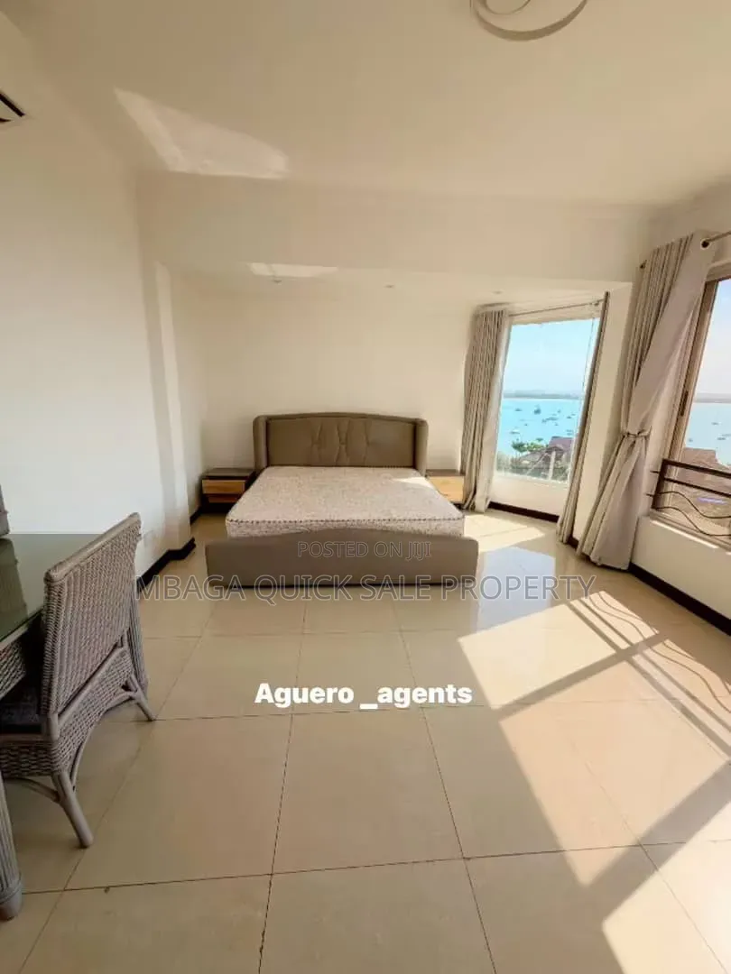 Furnished 3bdrm Apartment in Masaki for rent
