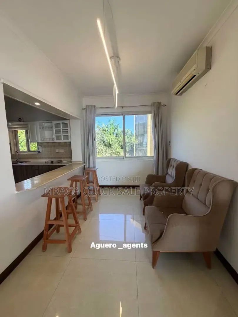 Furnished 3bdrm Apartment in Masaki for rent
