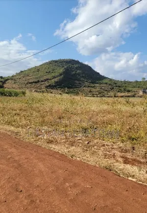 Kiseriani Imeitika Kibabe
