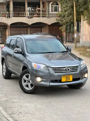 Toyota Vanguard 2010 Gray