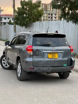 Toyota Vanguard 2010 Gray