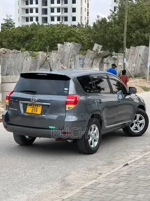 Toyota Vanguard 2010 Gray