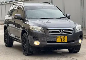 Toyota Vanguard 2008 Gray