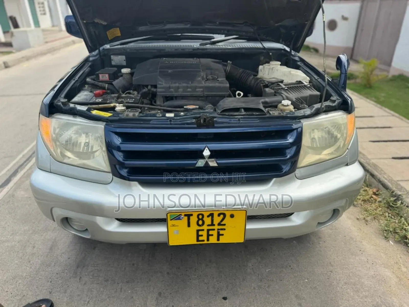 Mitsubishi Pajero 2007 Blue