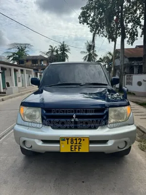 Mitsubishi Pajero 2007 Blue