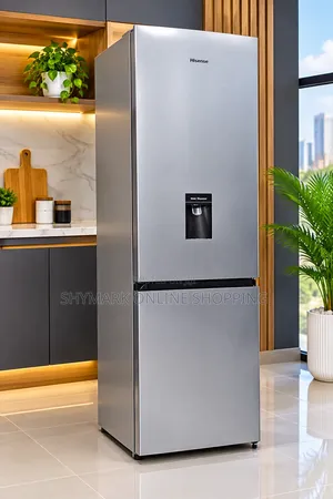 HISENSE Double Door Refrigerator 269L (RD-35DC4SB)