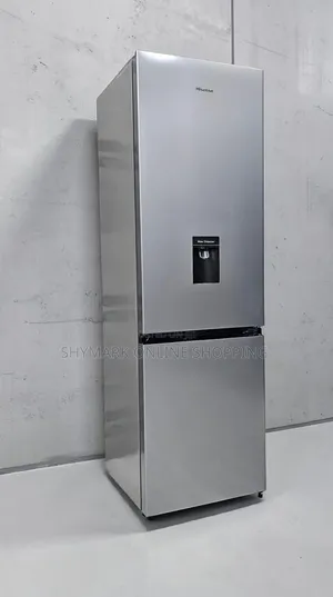 HISENSE Double Door Refrigerator 269L (RD-35DC4SB)