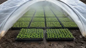 Nursery Cover