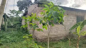 Plot for Sale in Ubungo