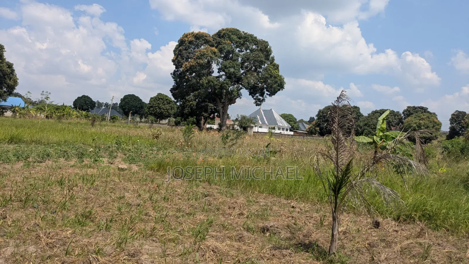 Plot 10 Zipo Eneo Moja Zinauzwa Kila Moja Ina Ukubwa Kuanzia SQM 500