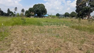 Plot 10 Zipo Eneo Moja Zinauzwa Kila Moja Ina Ukubwa Kuanzia SQM 500