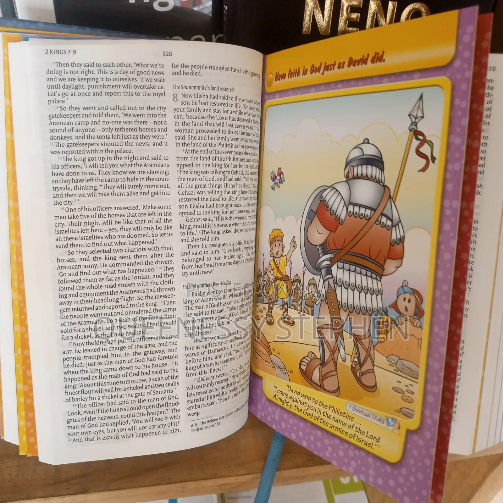 Niv Bible for Kids
