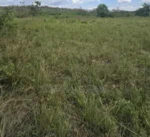 120 Acres for Sale at Kibaha