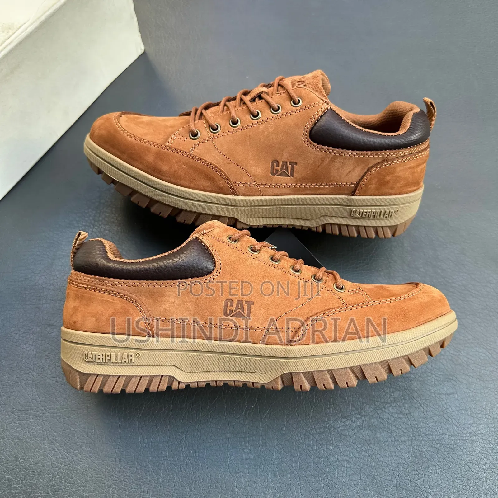 Cat Low—dunvarel Shoes Brand: Cat Low