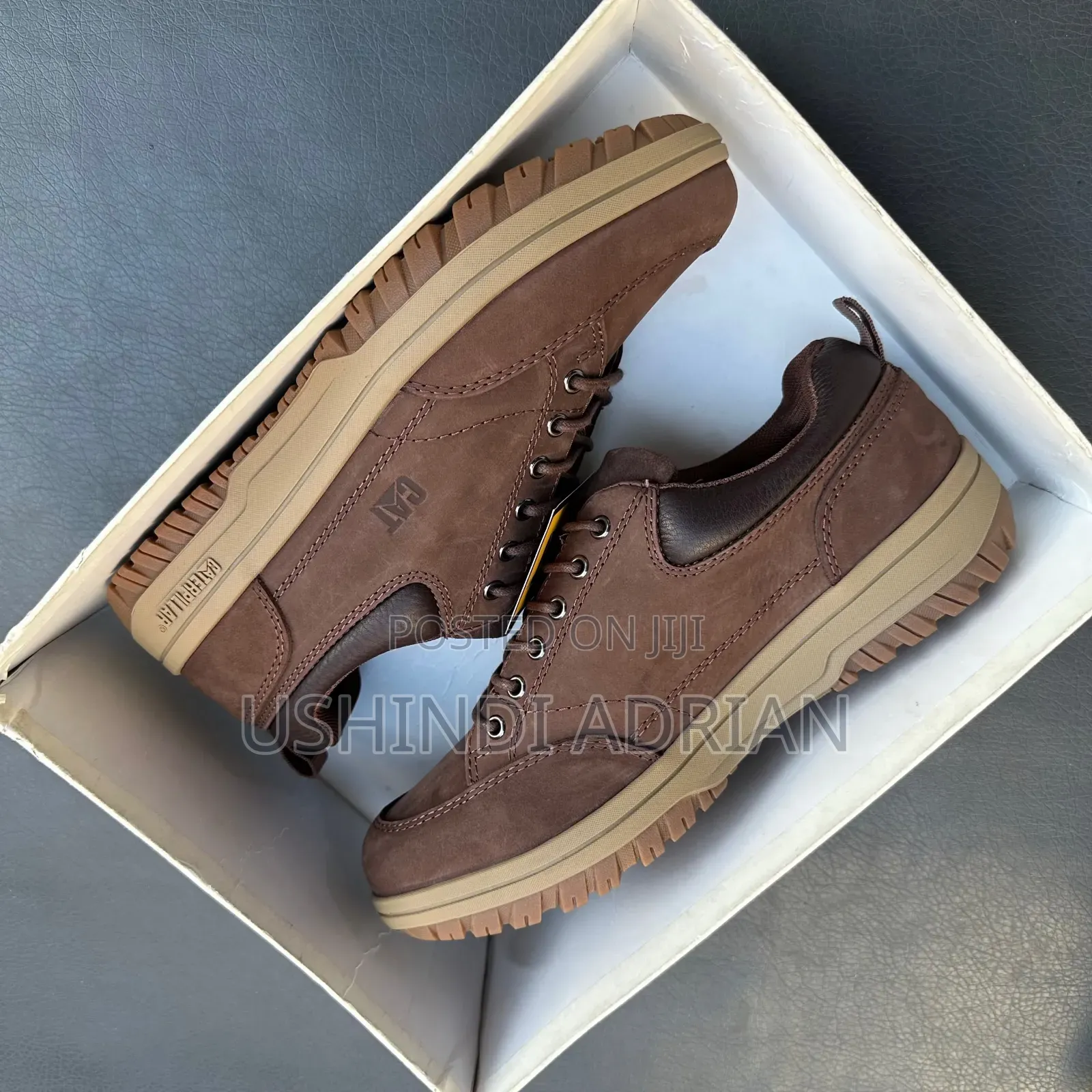 Cat Low—dunvarel Shoes Brand: Cat Low