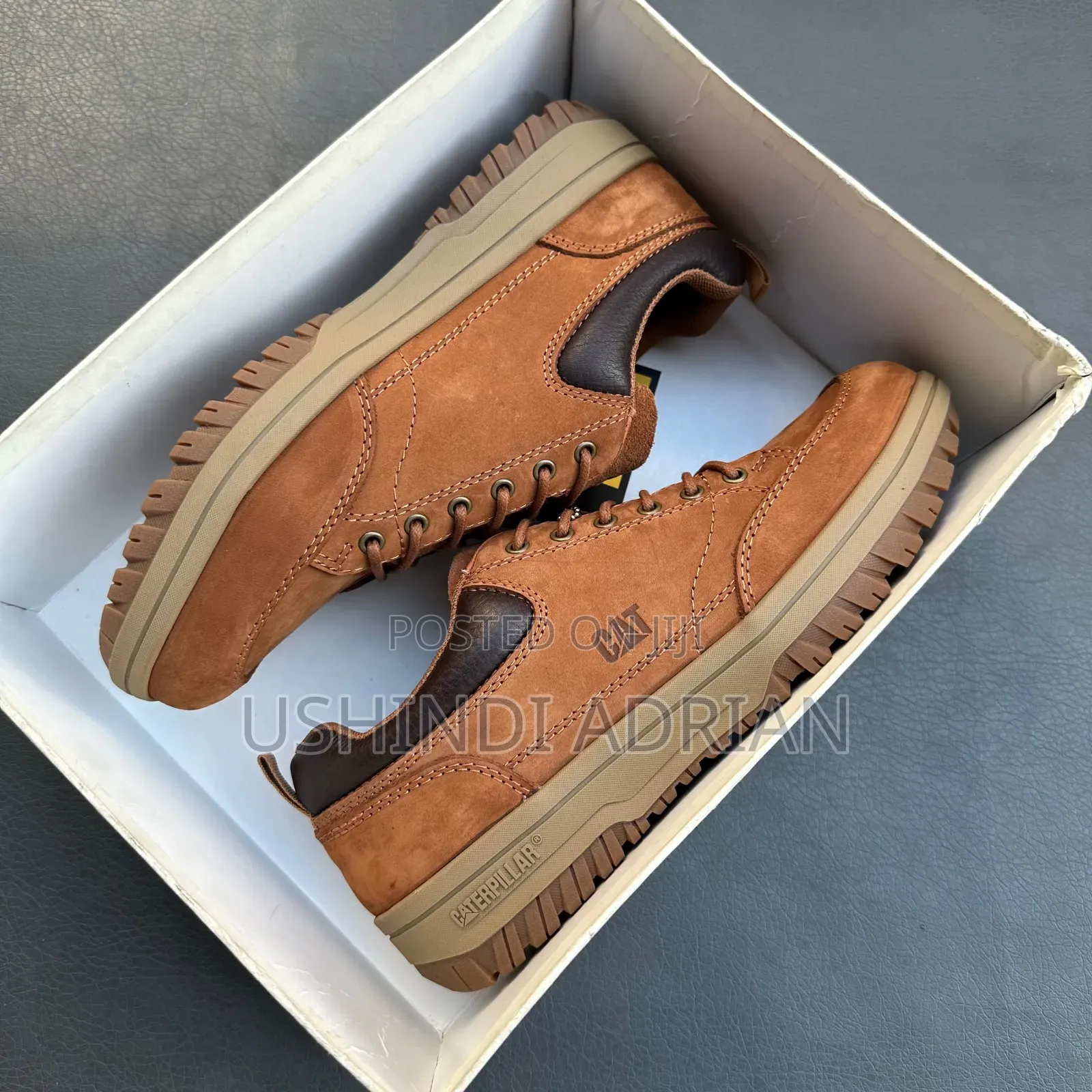 Cat Low—dunvarel Shoes Brand: Cat Low