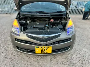 Toyota Ractis 2007 Gray