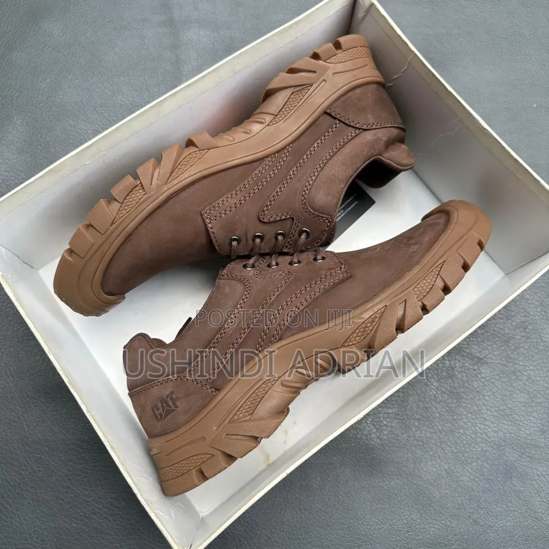 cat—straveno Shoesbrand: Cat