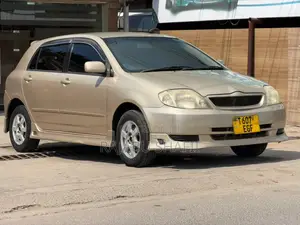 Toyota Allex 2003 Gold