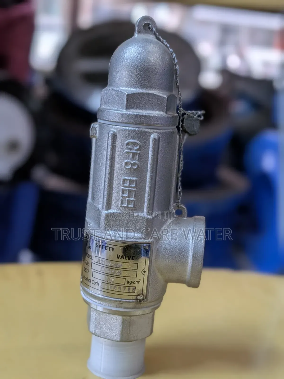 Safety Valve DN15(1/2inch)