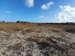 Eneo Linauzwa Kigamboni Kisarawe 2