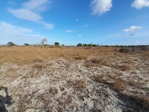 Eneo Linauzwa Kigamboni Kisarawe 2